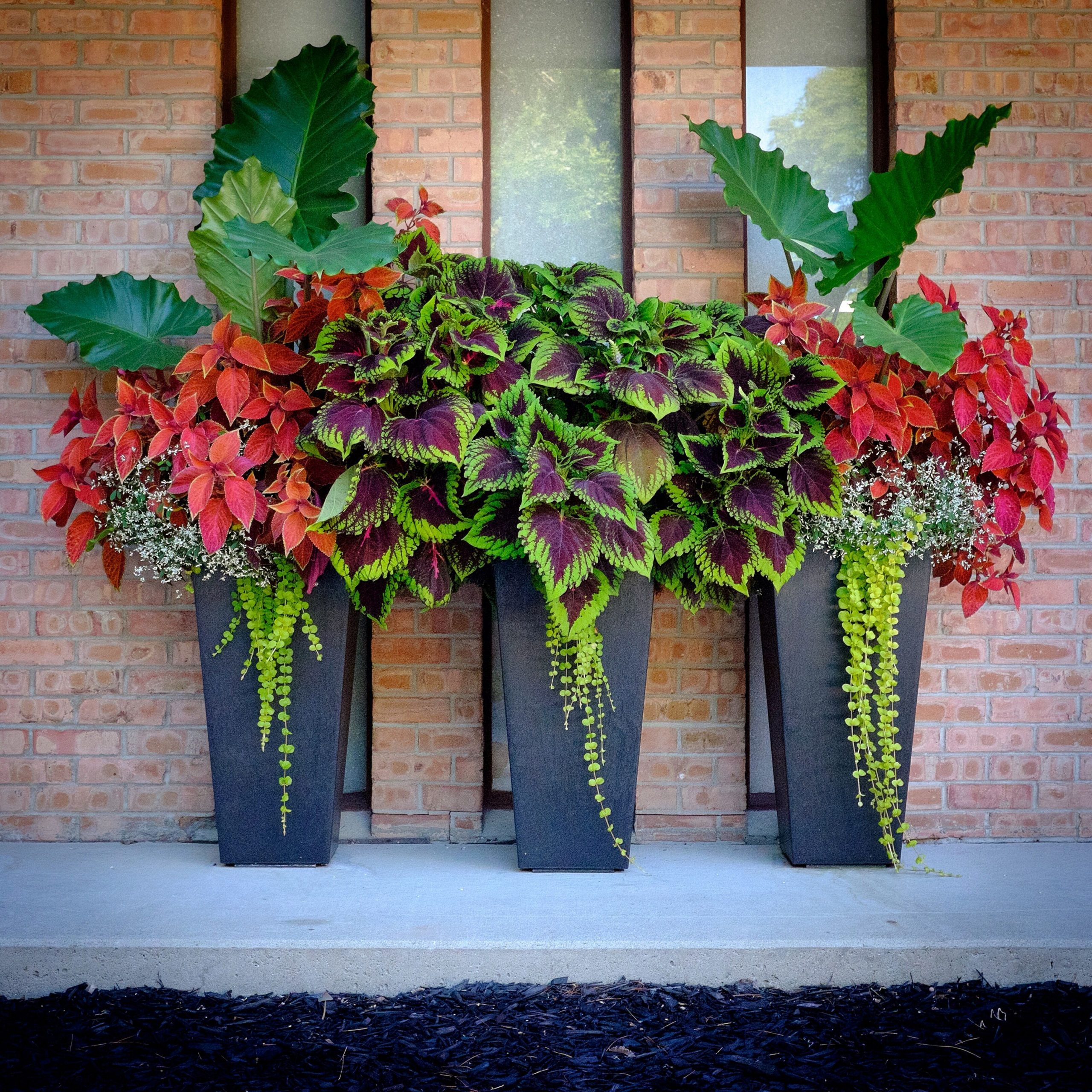10 Incredible Home Front Porch Flower Planter Ideas / FresHOUZ.com ...