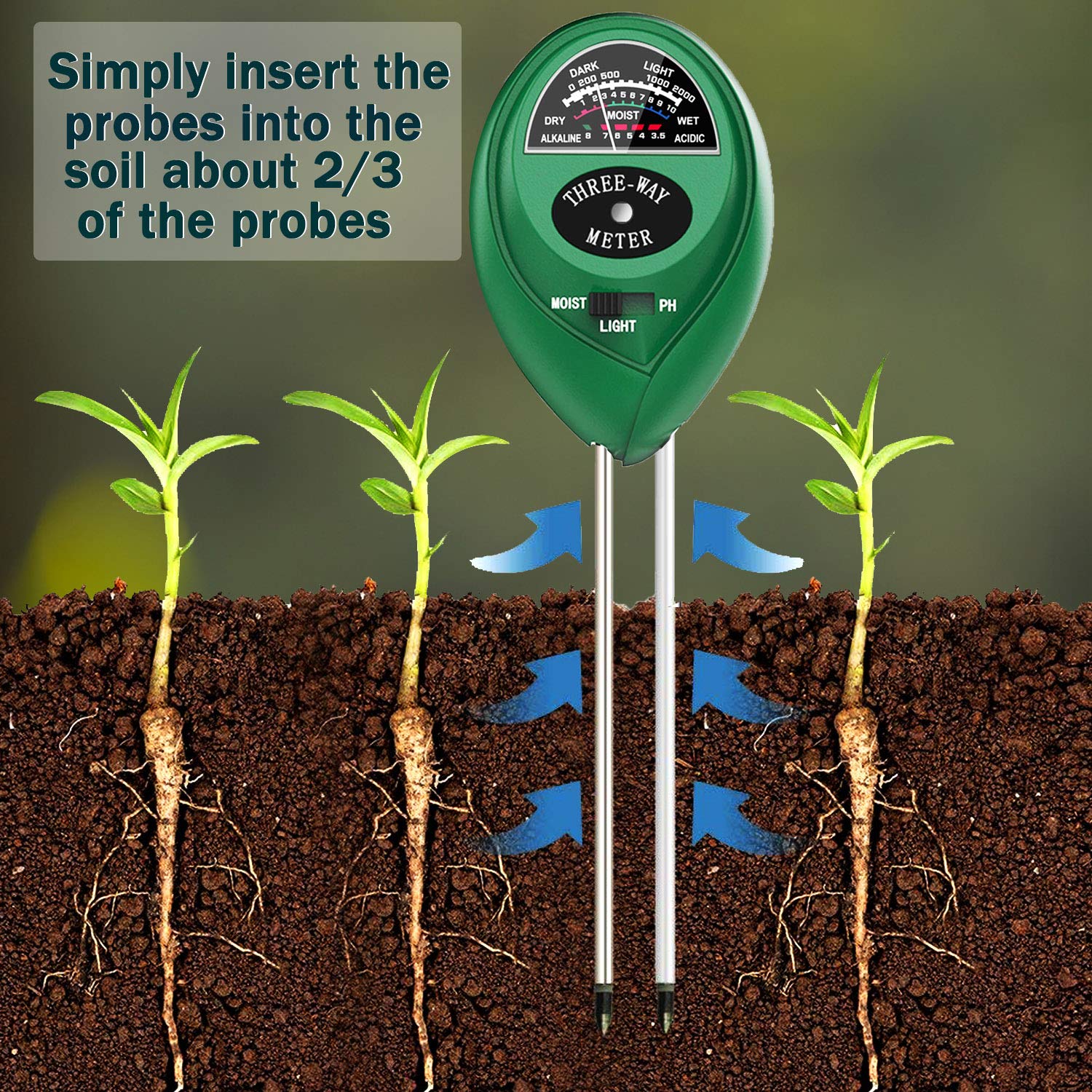 How To Test Lawn Soil